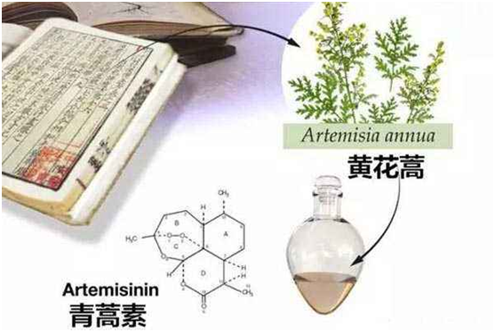 乐动手机网页版登录入口：向中医药看齐，与世界共享中医药文化(图1)